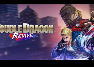 Double Dragon Revive graphic